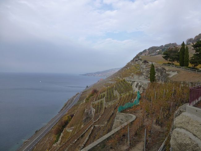 terrasse de lavaux