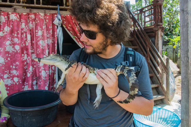Day 62: Crocodile Farm and onward journey to Siem Reap