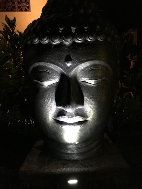 #Buddha head