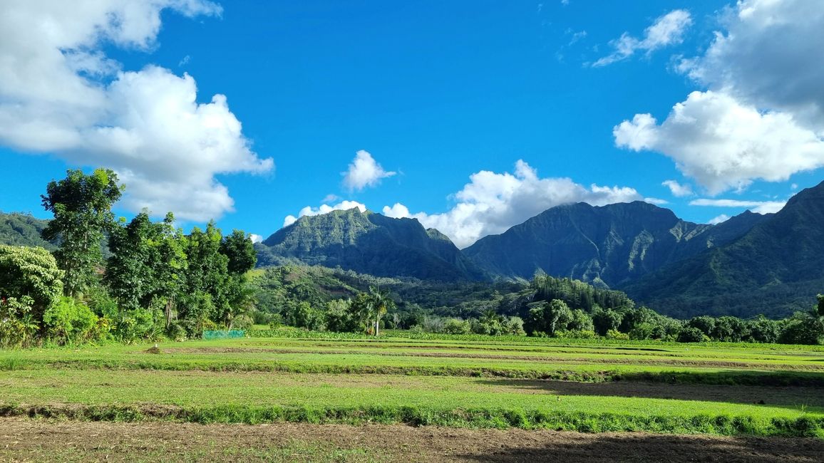 Hawaii 2022 - Teil 2: Kauai