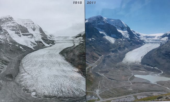 Comparaison du glacier Athabasca d'autrefois et d'aujourd'hui
