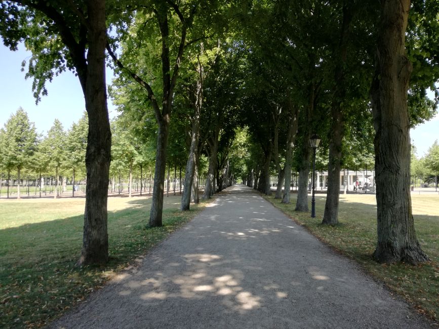 Jardin du château III