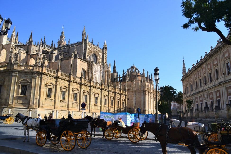 Cathedral with horse-drawn carriages in front
