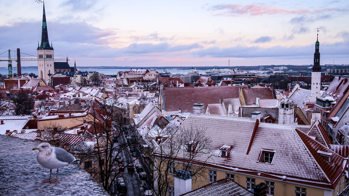 Tallinn - icy cold in the digital paradise - Baltic States trip 2022