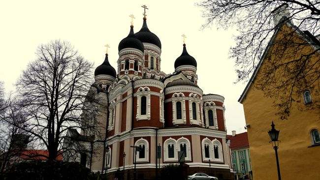 Таллин - Орто кылымдагы акылсыздык