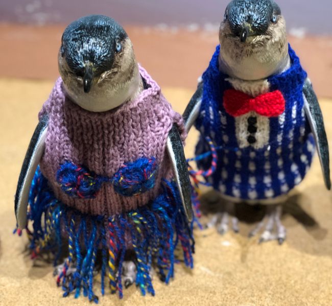 Pinguin-Souvenirs