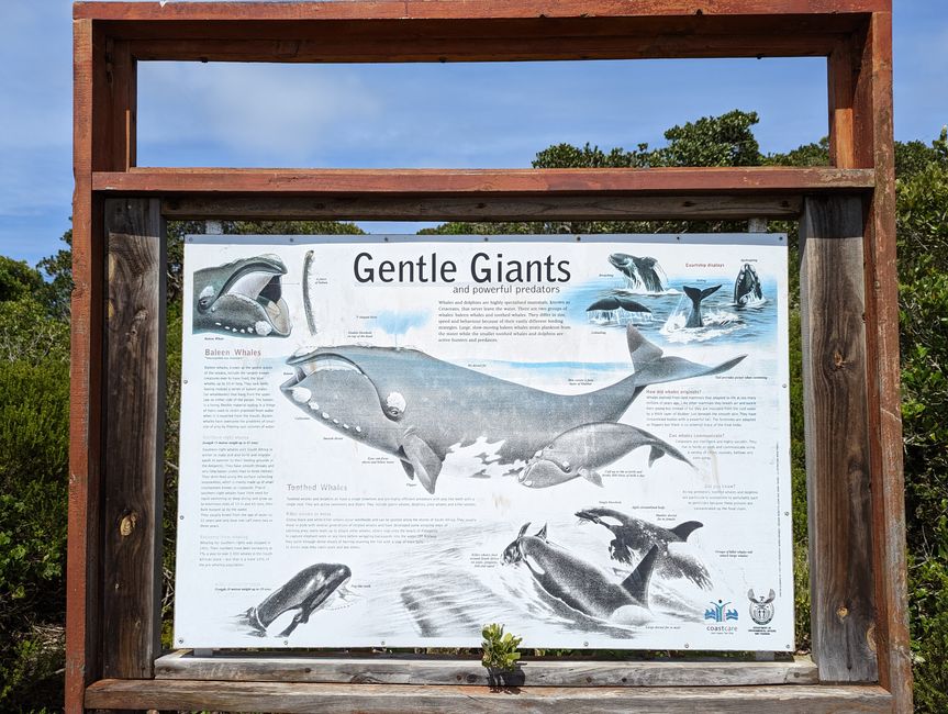 Plettenberg Bay/Robberg Nature Reserve