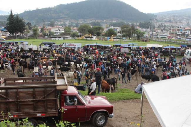 Otavalo, market