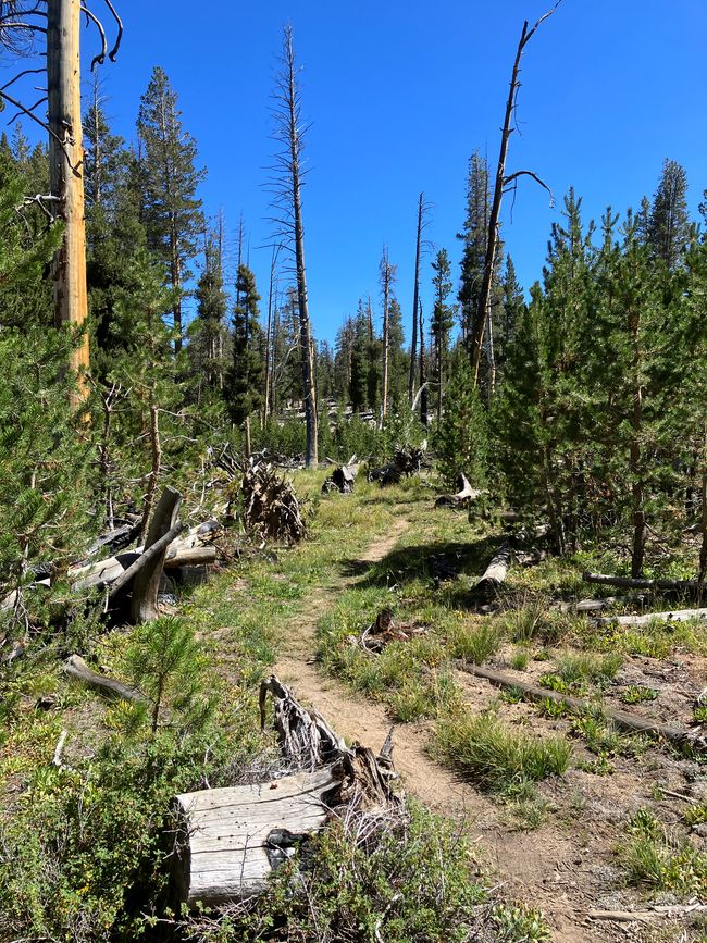 High Sierra Trail Tag 3