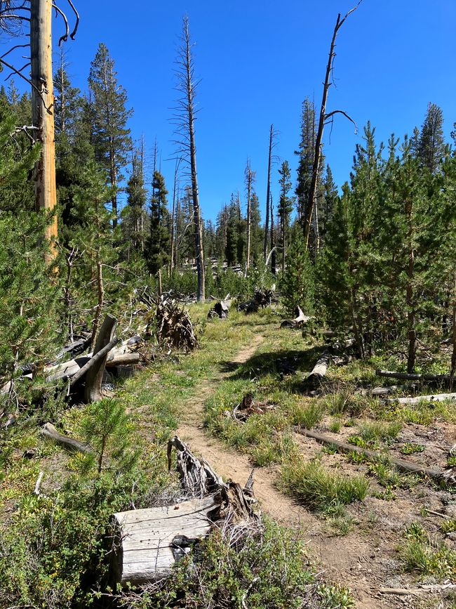 High Sierra Trail Day 3