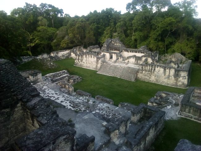 Palace Tikal