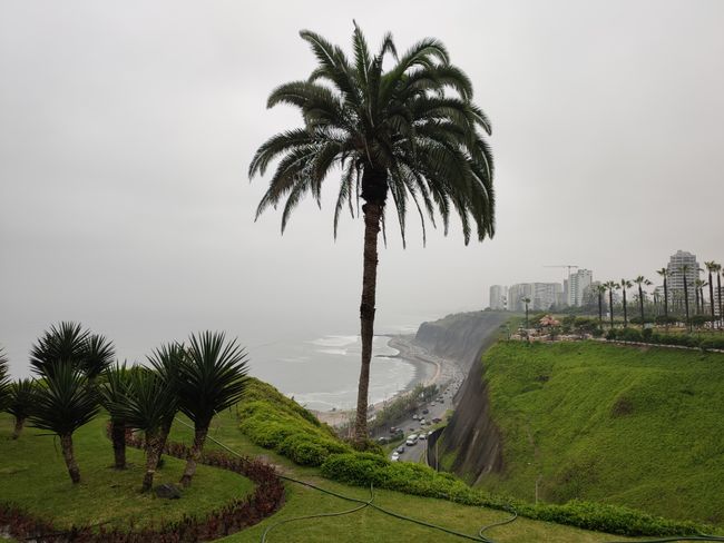 Coast in Lima