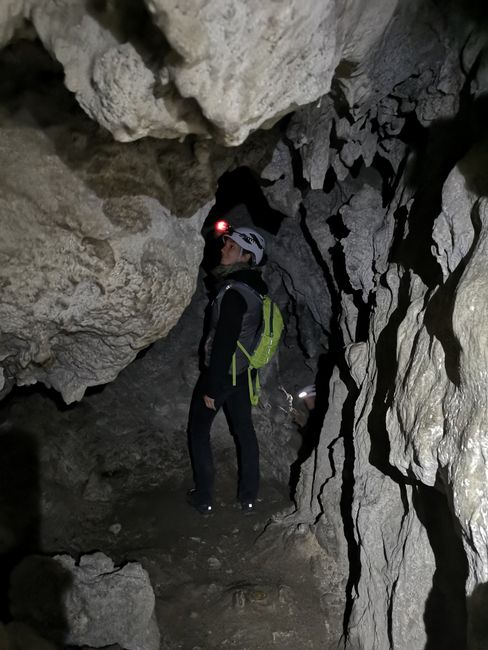 Predjama: Lotti admiring a bat in the cave passages