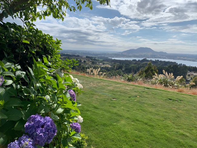 A charming B&B in Taupo