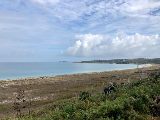 PlanLoser...XVI "Cape Reinga - the most accessible point in New Zealand to the north"