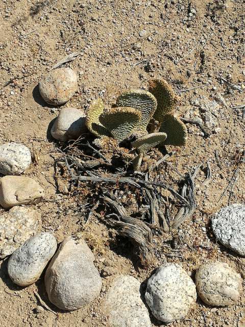 Eastern Sierra, Death Valley eta Las Vegas berriro 😜