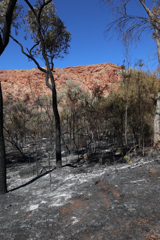 Fires at Trephina Gorge NP