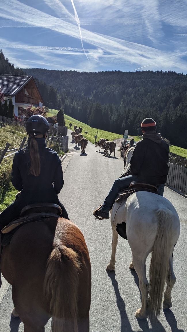 Day 7: Half-day ride to the Wurzer Alm