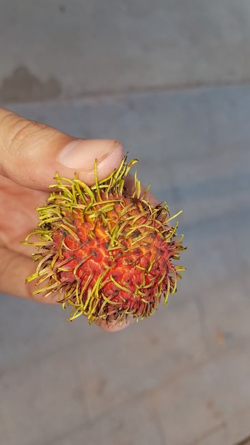 And this fruit is called rambutan.