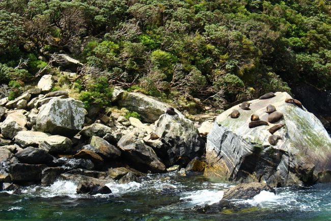 Milford Sound