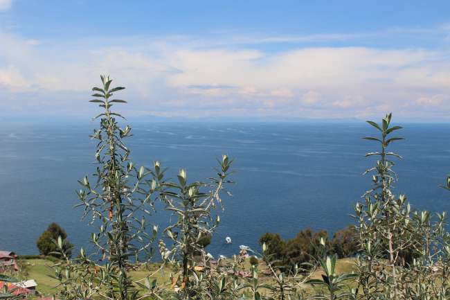 Lago de Titicaca – Mystisch – Malerisch - Wunderschön