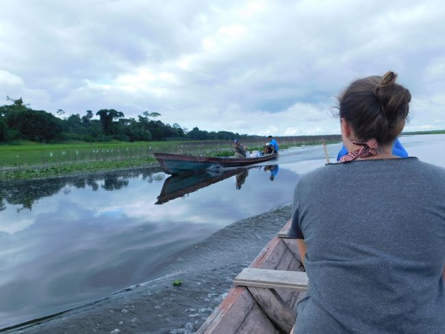 Amazon adventure in Iquitos