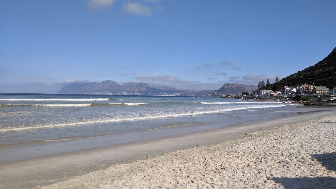 Letsatsi 19: Cape Town! Tafole Mountain, Beach & Penguin