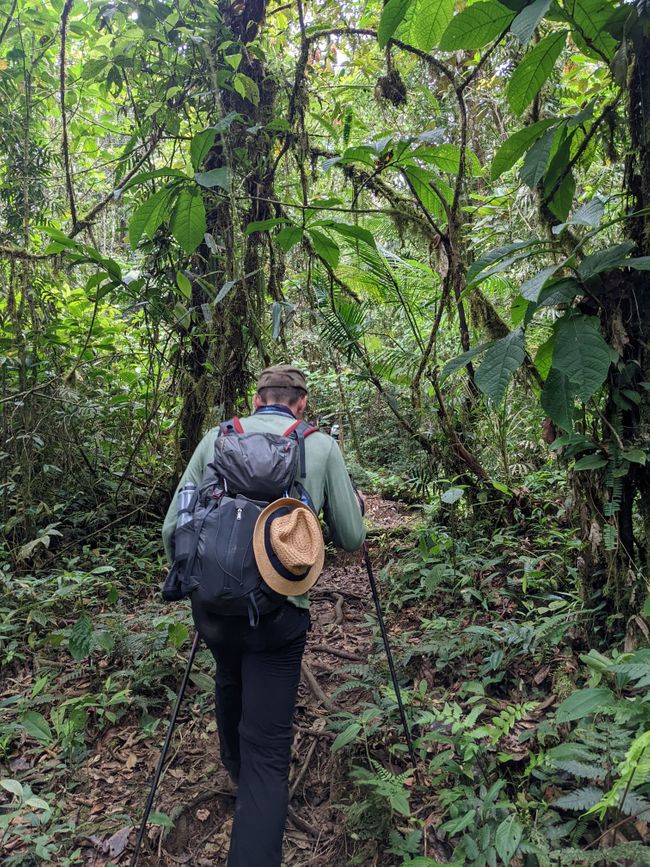 Stage 3 and 4: Up and down in the jungle of the indigenous nature reserve of Cabeca