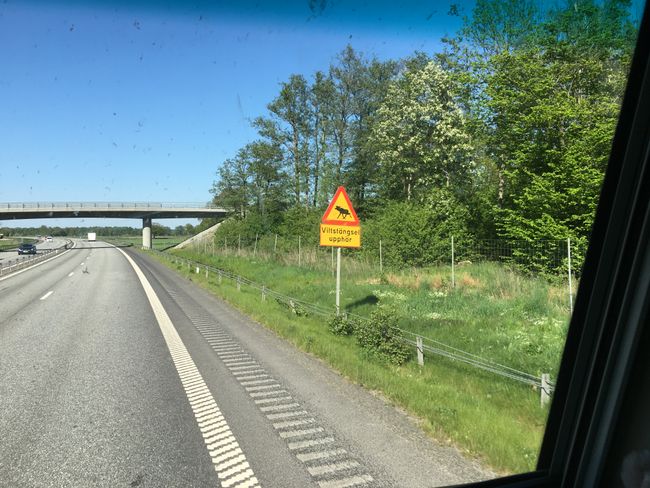 nach 270 km in Schweden, das erste Warnschild vor Elchen 😁