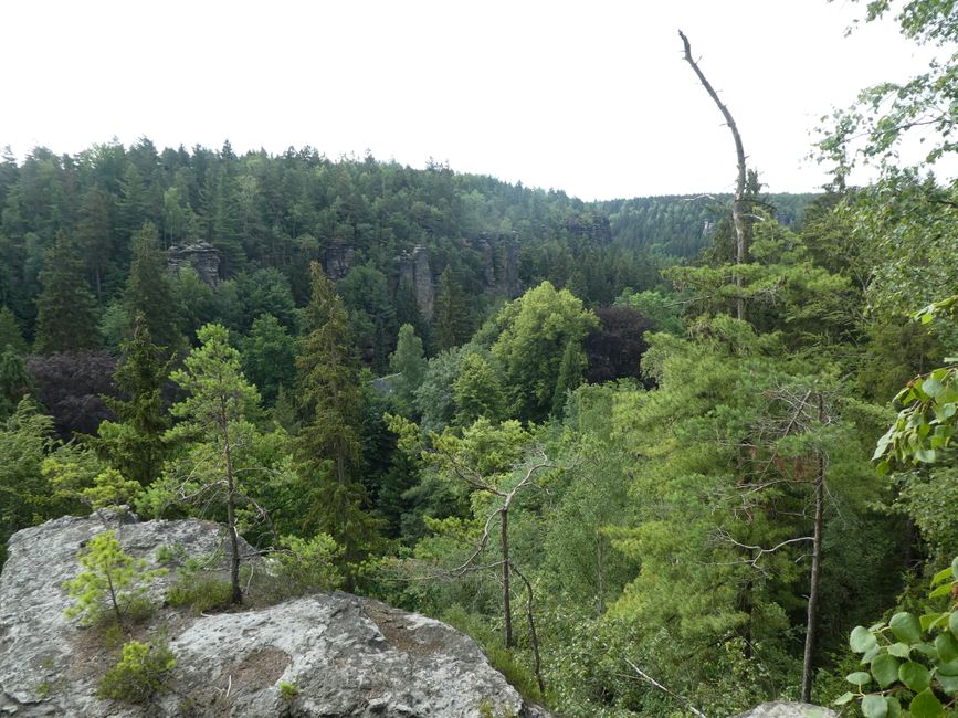 Hiking through Bielatal, Pirna, and in search of lynxes.
