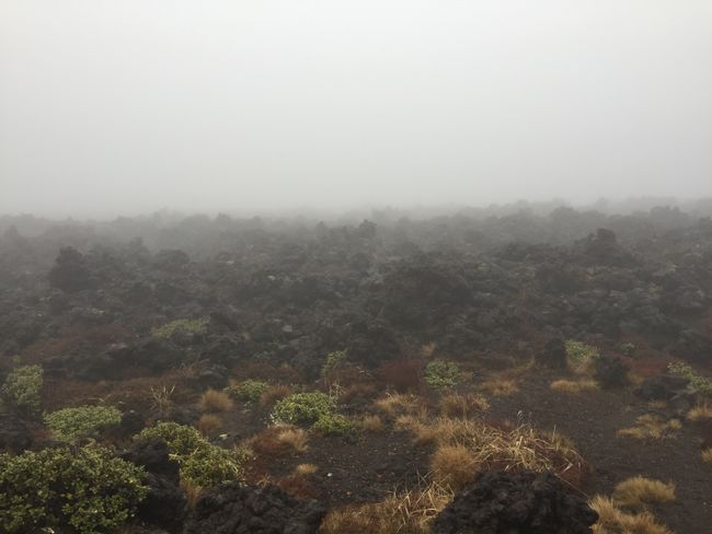 Das Tongariro Crossing - a wet adventure