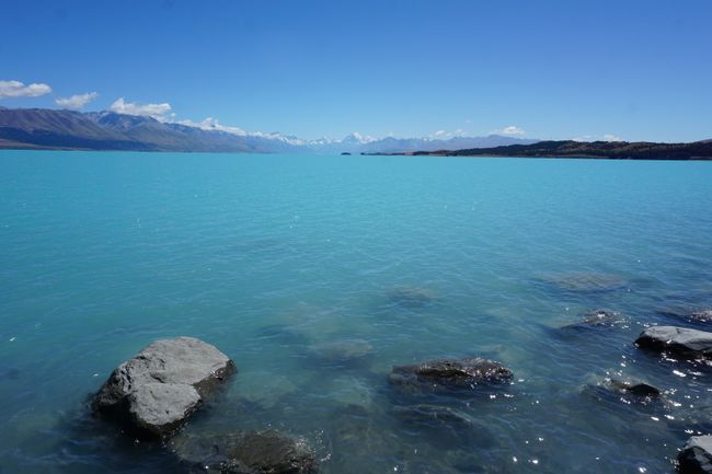 Lake Pukaki&Tekapo und Mount Cook