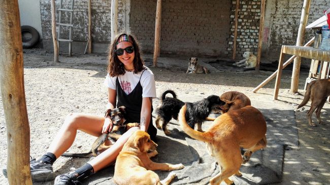 Gangster in Lima and dog refuge in Huanchaco