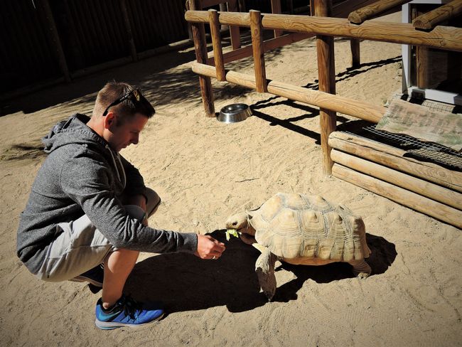 Kevin feeding the turtles :)