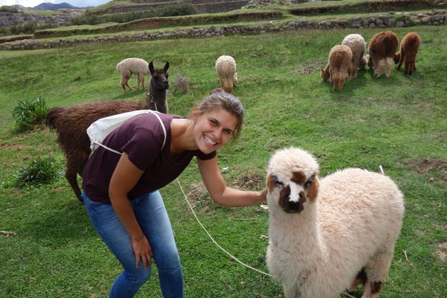 Making new friends in Cusco