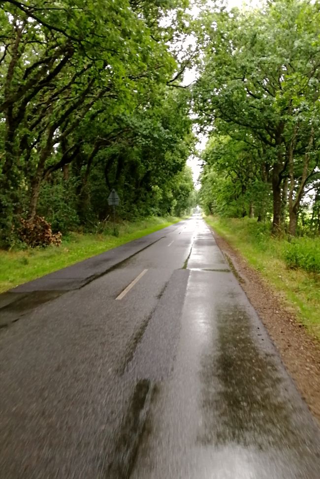 Cycling on deserted country roads in the rain to the daily destination: