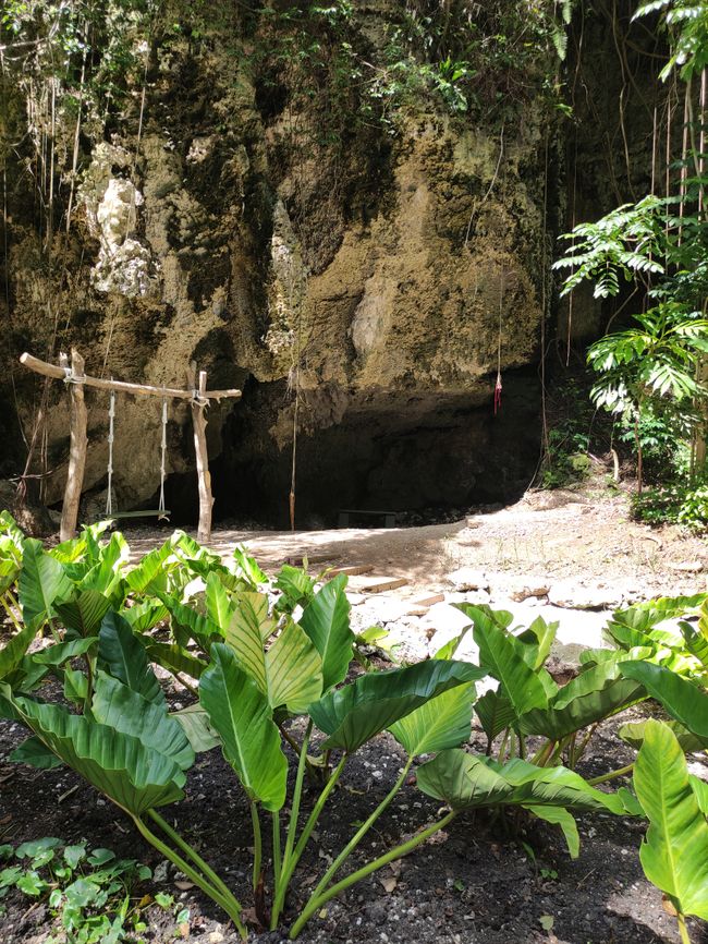 6th day in Barbados: Harrison Cave, Coco Hill Forest, Flower Forest, and a beautiful beach