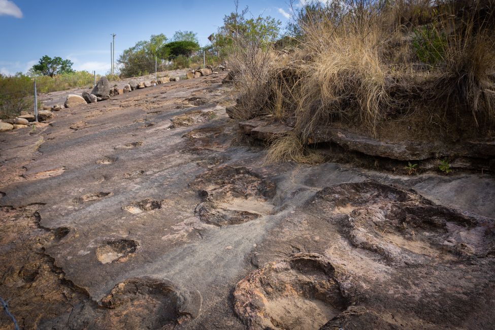 In a land before our time... Dino tracks in Torotoro