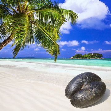Seychelles 2023 - Part 2: Praslin
