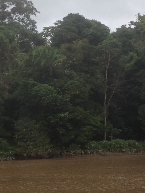 Brasilien: Rio Amazonas #2
