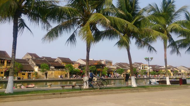 Palm trees by the river, in the background is the Old Town with the small yellow houses
