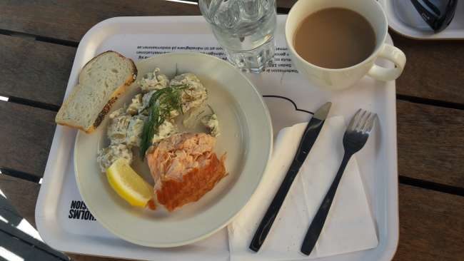 Lunch with delicious salmon