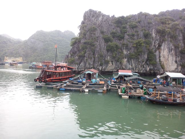 Halong Bay: To do, not to do or how to do it