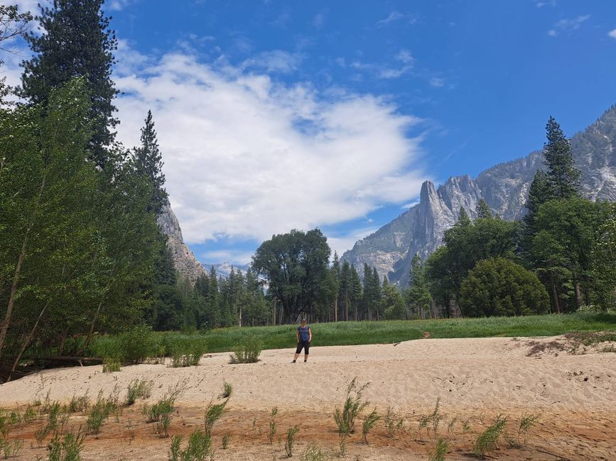 Yosemite and the wild flies