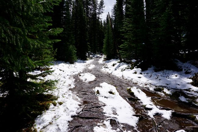 Matschier Moose Lake Trail