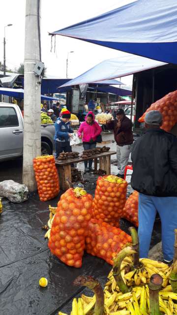 Central Market Quito South