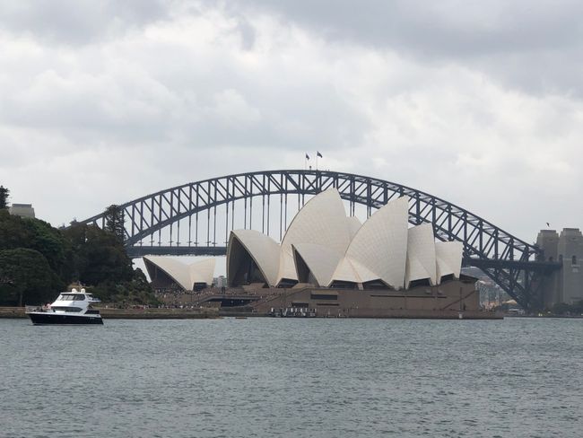Sydney: Sealife + Opera