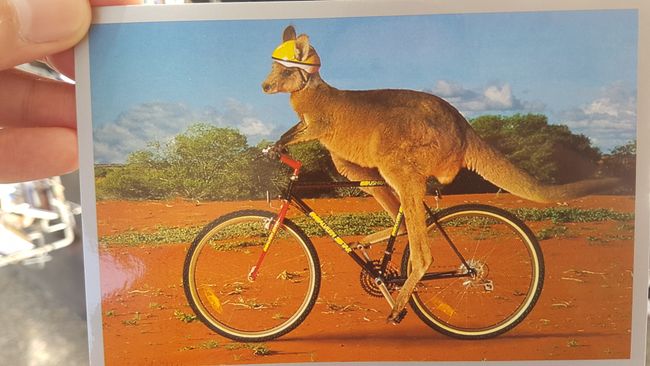 Looking for souvenirs. This would probably be the Australian version of me on a bike.