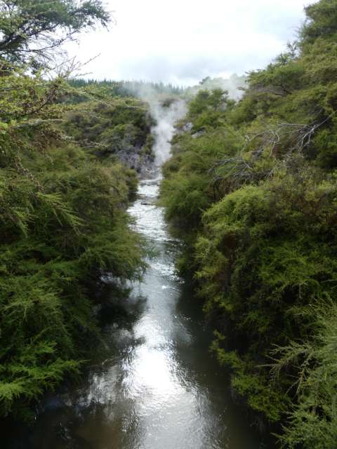 View to the Weather Pool in Wai-o-Tapu