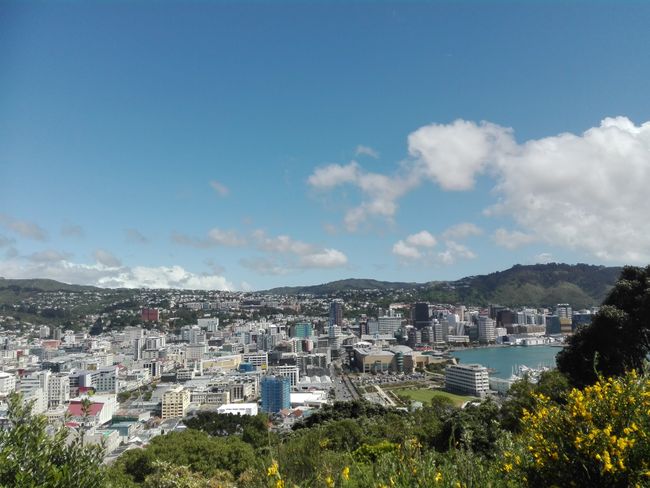 Wellington- 4 Tage in der Hauptstadt Neuseelands